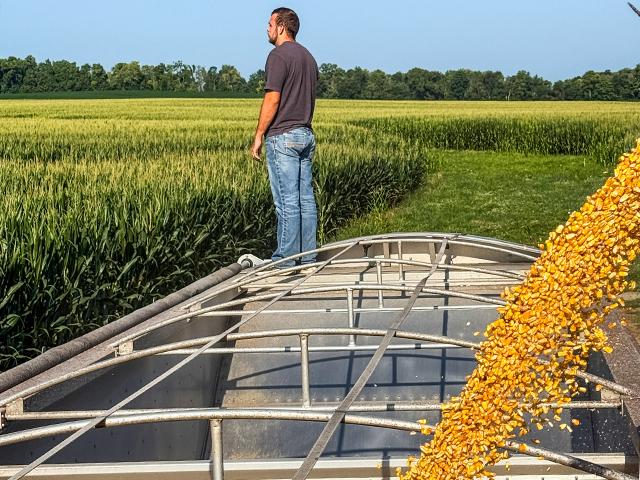 Blogger Jennifer Campbell said she takes thousands of pictures every year, but some just speak to her. Like this one. (DTN/Progressive photo by Jennifer Campbell)