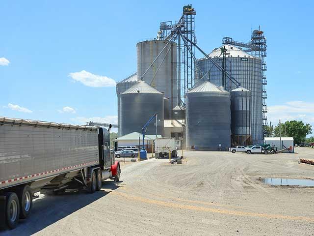 A group of Texas farmers has filed an emergency motion in an attempt to prevent Hansen-Mueller Co. from using the farmers' grain proceeds to fund the Chapter 11 bankruptcy. (DTN file photo by Elaine Shein)